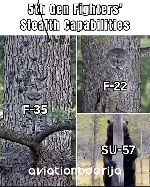 net analoga