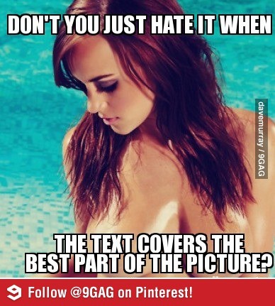 no  ved  toto