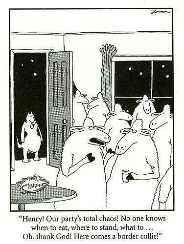 Párty humor