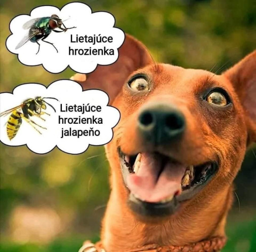 Dunčo labužník